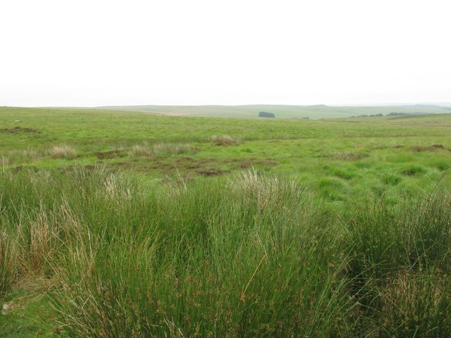 File:Jenny Laidlaw Sike and moorland - geograph.org.uk - 3714692.jpg