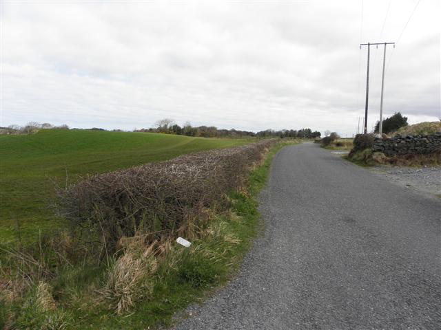 File:L1003, Kilmackiloo - geograph.org.uk - 2330368.jpg