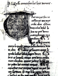 Leys d'amor, initial.jpg