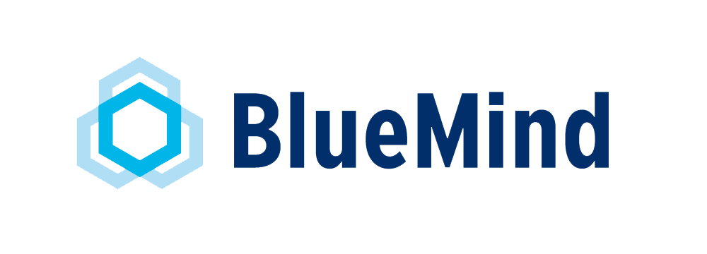 LogoBM 1000-Bleu.png