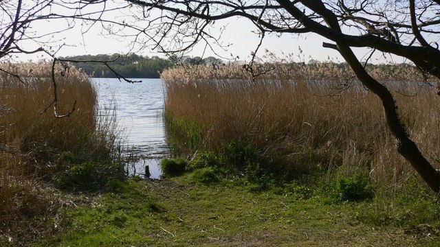 File:Looking across Frensham Great Pond from an angling bay - geograph.org.uk - 1265055.jpg