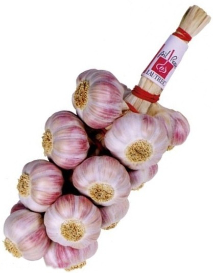 Fichier:Manouille Ail Rose de Lautrec Label Rouge IGP.jpg — Wikipédia