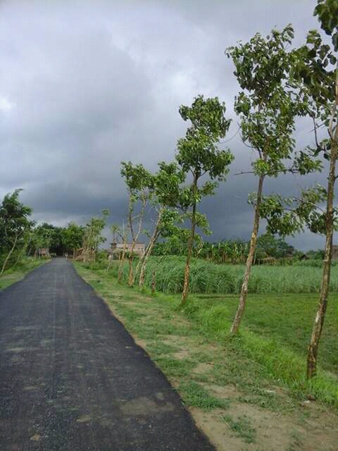 my village wikipedia