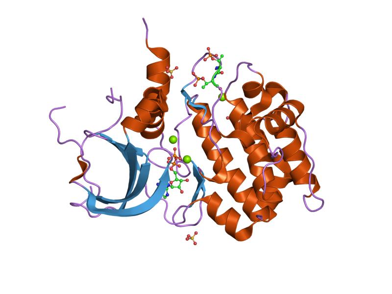 File:PDB 1ol5 EBI.jpg