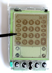 File:Palm 200.jpg