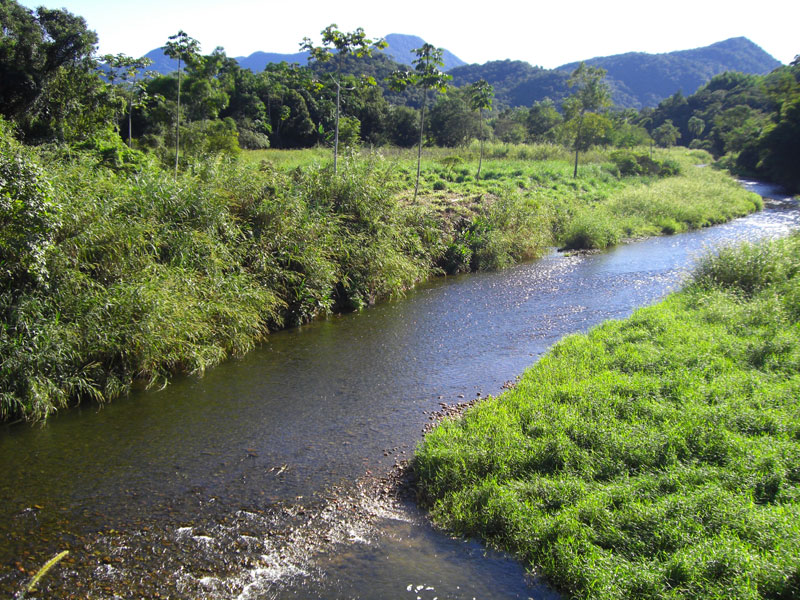 File:Rio na região do Piraí (River on the Piraí's place) - panoramio.jpg