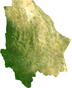 Satellite image of the state of Chihuahua shows the varying terrain from the green alpine mountains in the southwest, to the steppe highlands in the center, to the desert in the east.