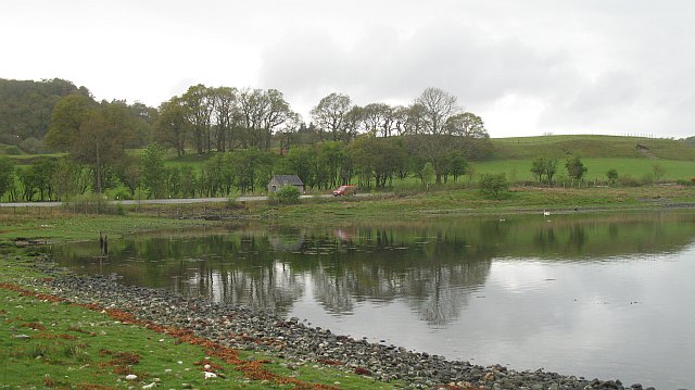 Shore of Loch Etive - geograph.org.uk - 1273387