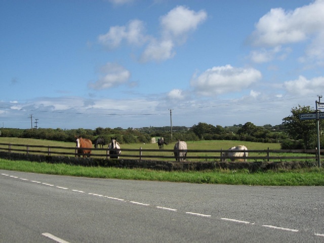 File:Six Horsepower Field - geograph.org.uk - 247159.jpg