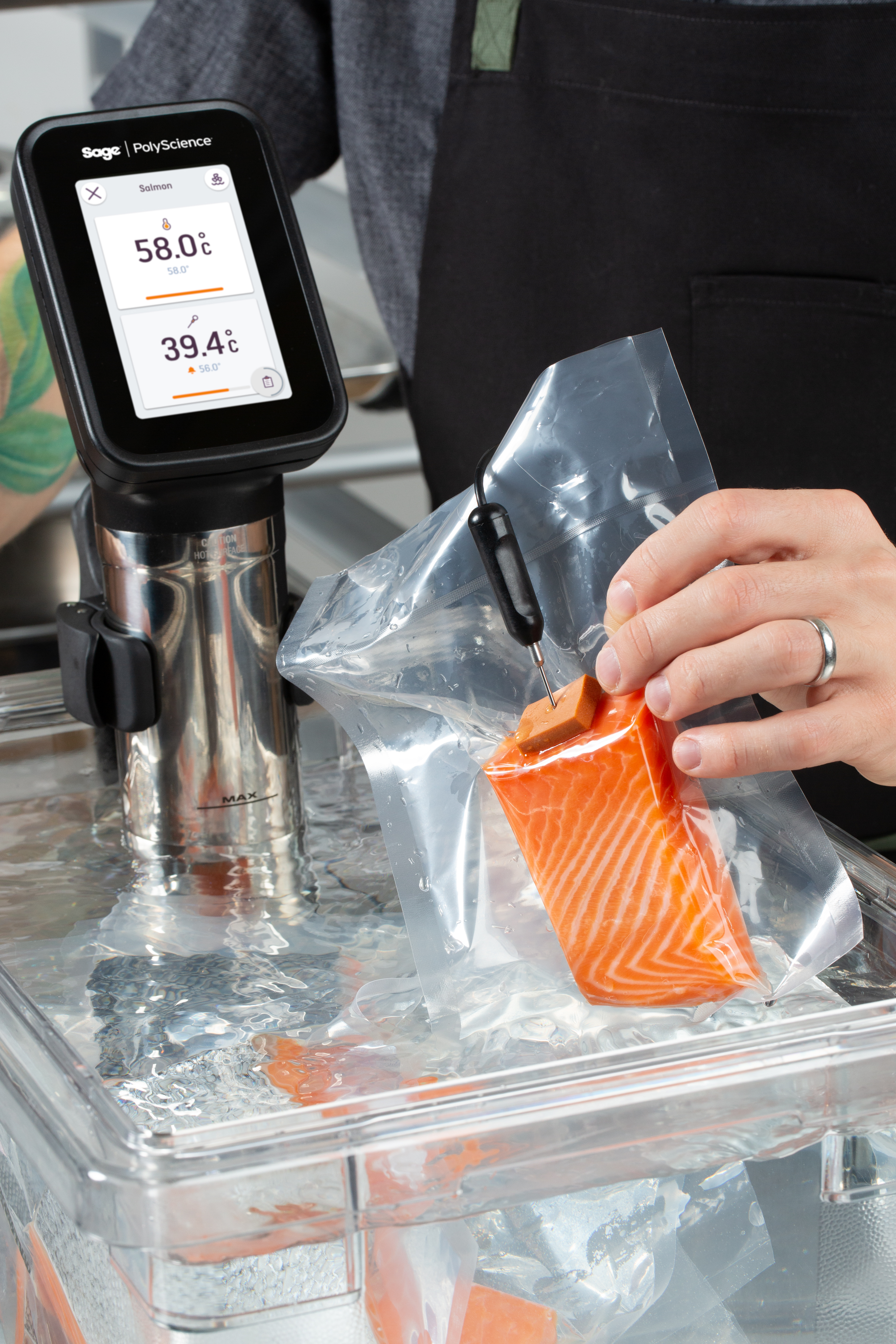 File:Sous-vide Stick WI-FI.jpg - Wikipedia