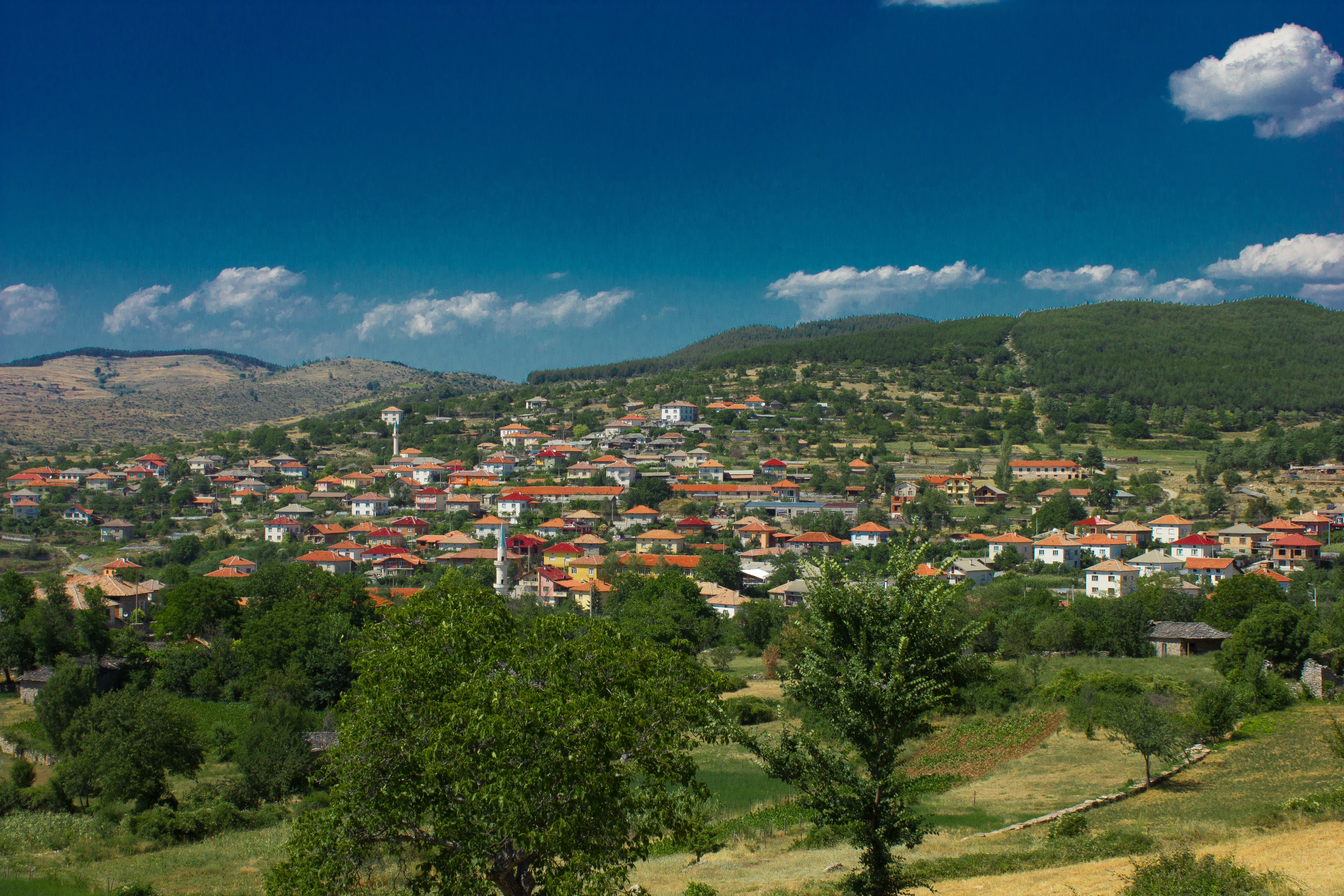 Tuhovișta, Blagoevgrad