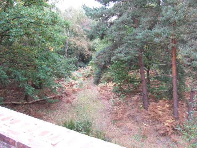 View from a bridge - geograph.org.uk - 1546727