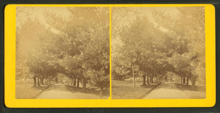 File:View of two people on a tree-lined path, by Lovell, J. L. (John Lyman), 1825-1903 2.jpg