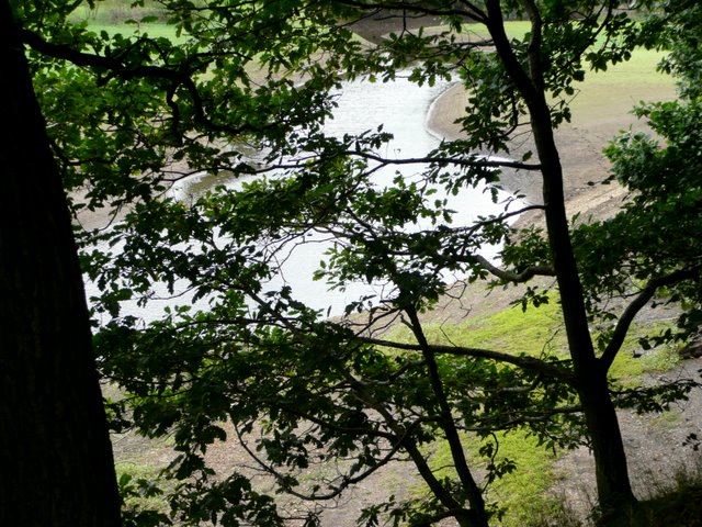 View through trees, the Little Don enters Underbank Reservoir - geograph.org.uk - 921309