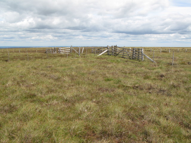 File:Where five fences meet - geograph.org.uk - 517131.jpg