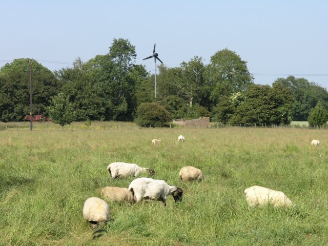 File:Wind turbine near Upper Maxted Street Farm - geograph.org.uk - 190944.jpg