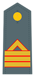 Eerste sergeant-badge