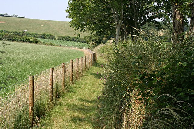 A Well Tended Footpath to Ladock Wood - geograph.org.uk - 194443