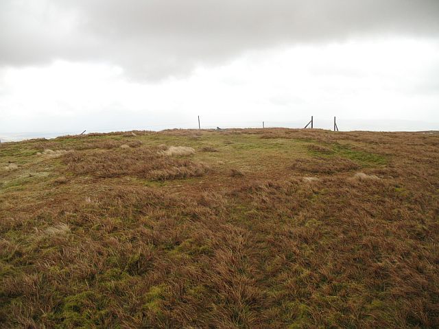 File:Balcnock north summit - geograph.org.uk - 719616.jpg