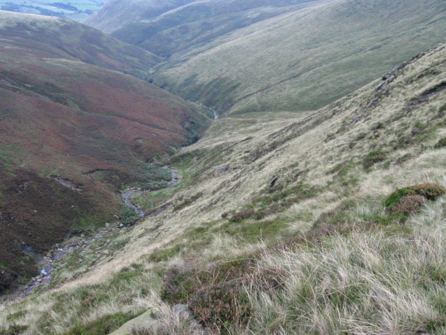 File:Blackden Brook - geograph.org.uk - 964241.jpg