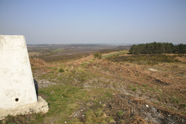 Blacknoll Hill Trig Point, Winfrith Heath - geograph.org.uk - 386804