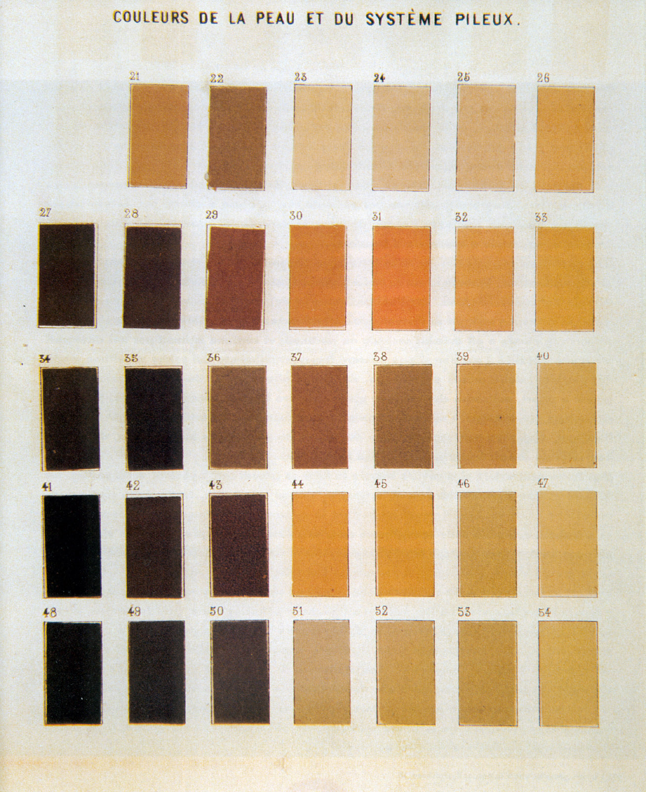 Skin Color Chart