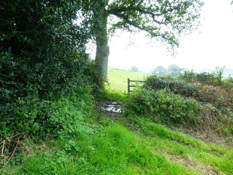 File:Channel to Channel (175) - geograph.org.uk - 4176285.jpg