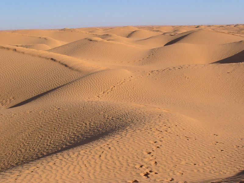 File:Dune, Grand erg près de Ksar Ghilane, Tunisien, 2004.jpg