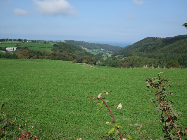 File:Field above Nant - y - Groes valley - geograph.org.uk - 1492202.jpg