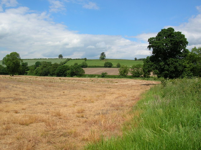 File:Fields near Crambe - geograph.org.uk - 189407.jpg