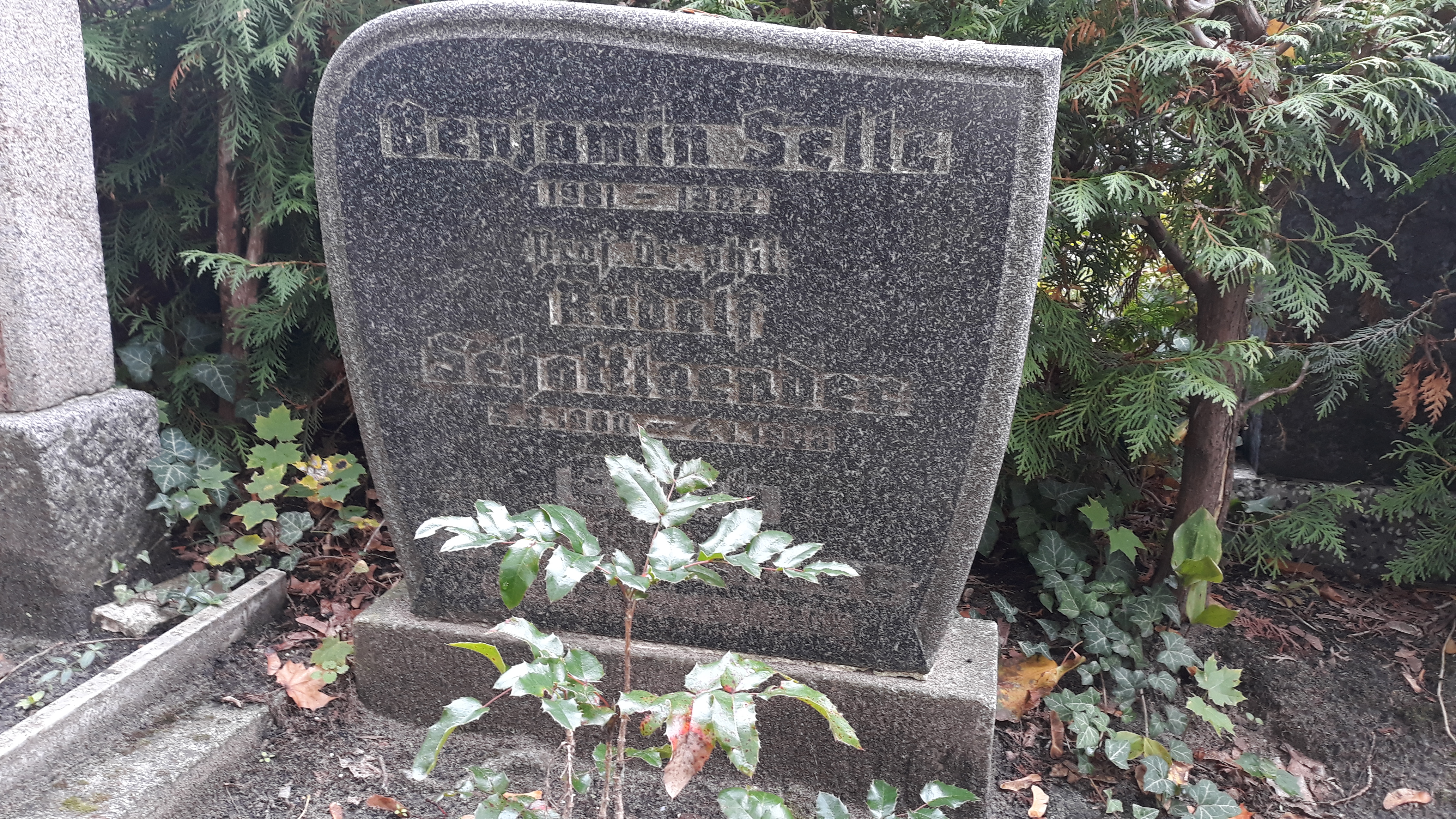 Das Grab von Rudolf Schottlaender auf dem Evangelischen Friedhof Friedrichshagen in Berlin.