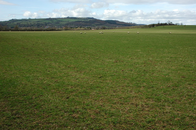 File:Grazing land at Sedgeberrow - geograph.org.uk - 1777892.jpg