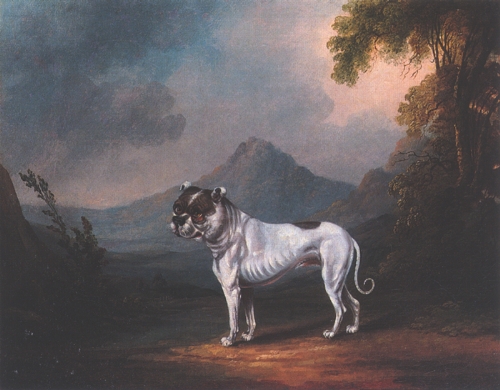 File:Henry Clowes - Portrait of the bulldog Ball in a landscape.jpg