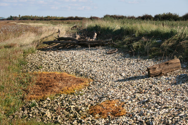 File:High Tide Line, Humber Foreshore - geograph.org.uk - 589414.jpg