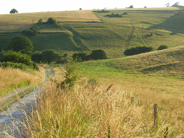 Hog Cliff National Nature Reserve - geograph.org.uk - 908403