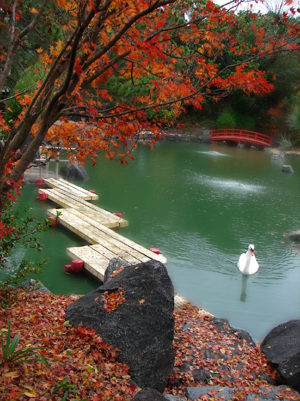 Japanese garden auburn botanic gardens auburn