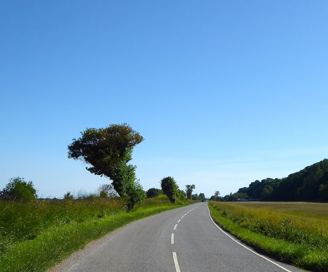 File:Military Road - geograph.org.uk - 6190953.jpg