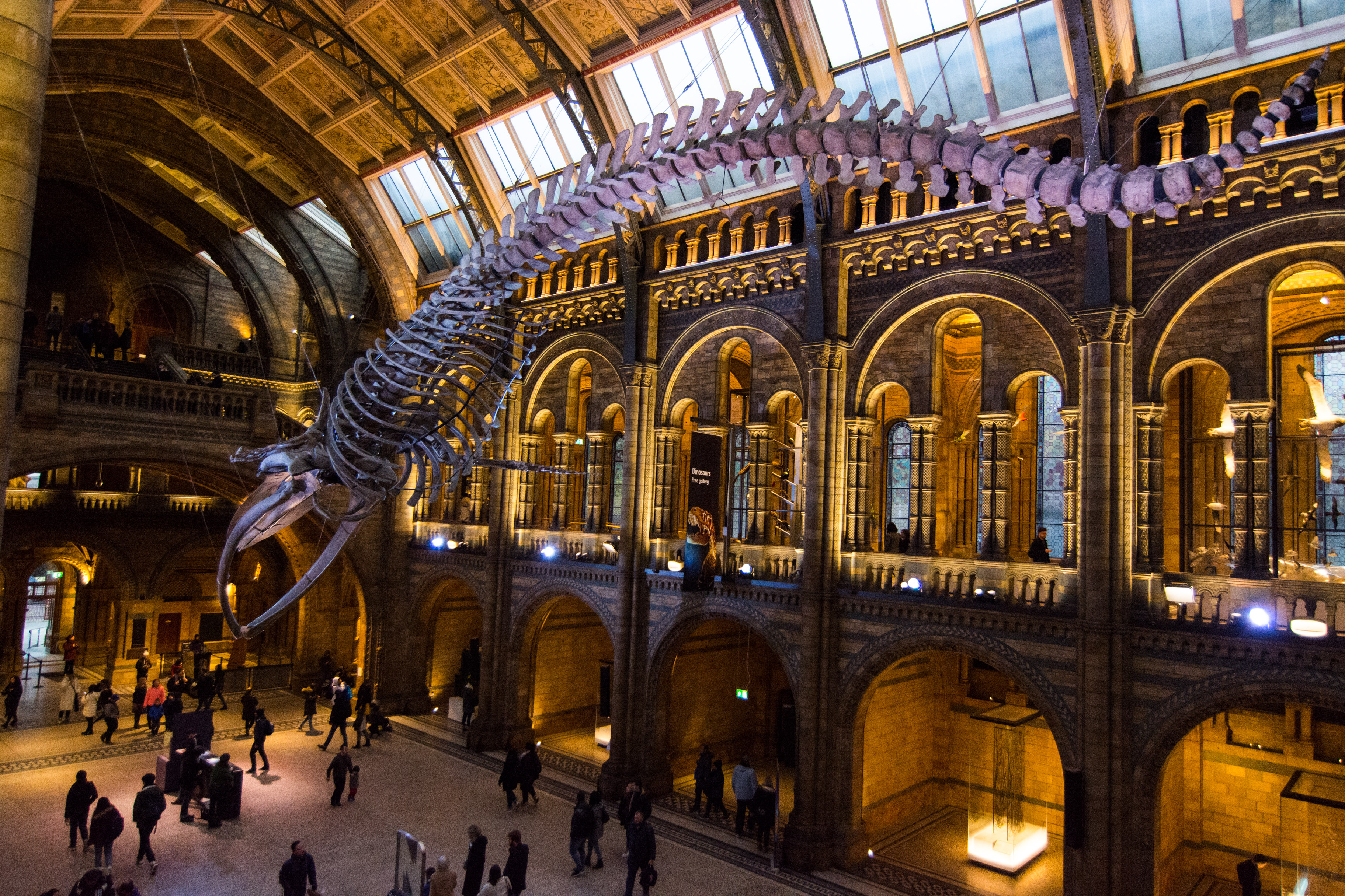 Natural museum london