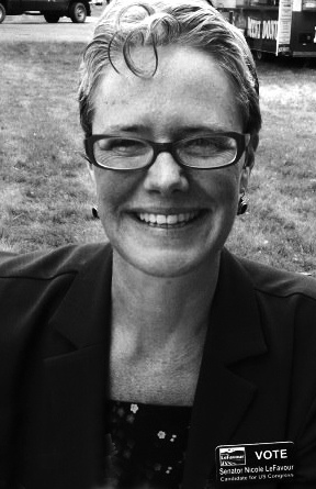 <span class="mw-page-title-main">Nicole LeFavour</span> American politician from Idaho