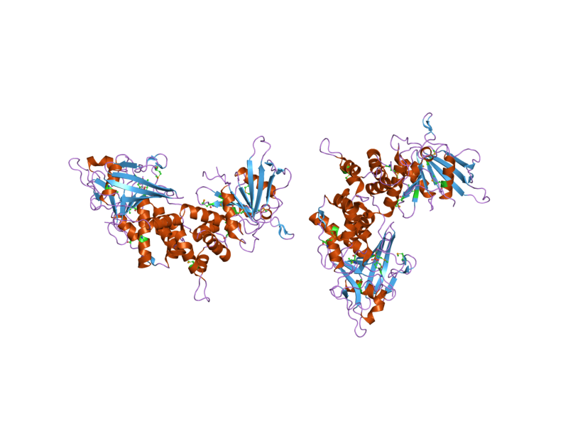 File:PDB 1ygr EBI.png