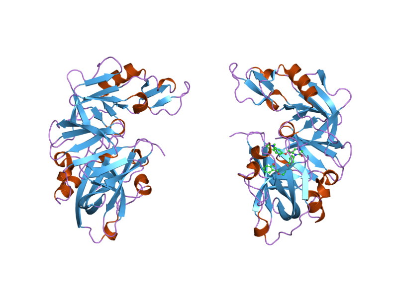 File:PDB 2fs4 EBI.png