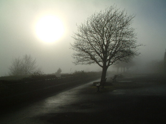 File:Park Walk, Shaftesbury - geograph.org.uk - 92982.jpg