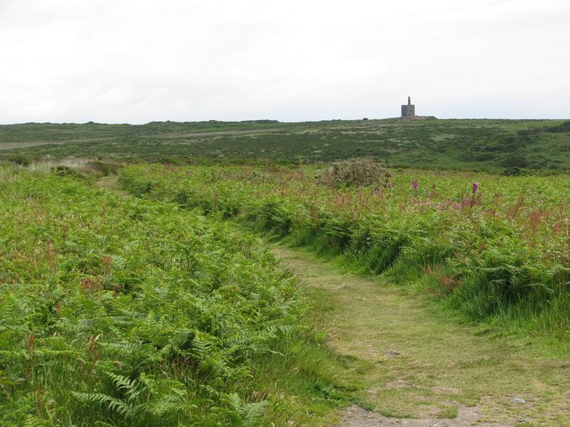 Path across Bosullow Common - geograph.org.uk - 1388430