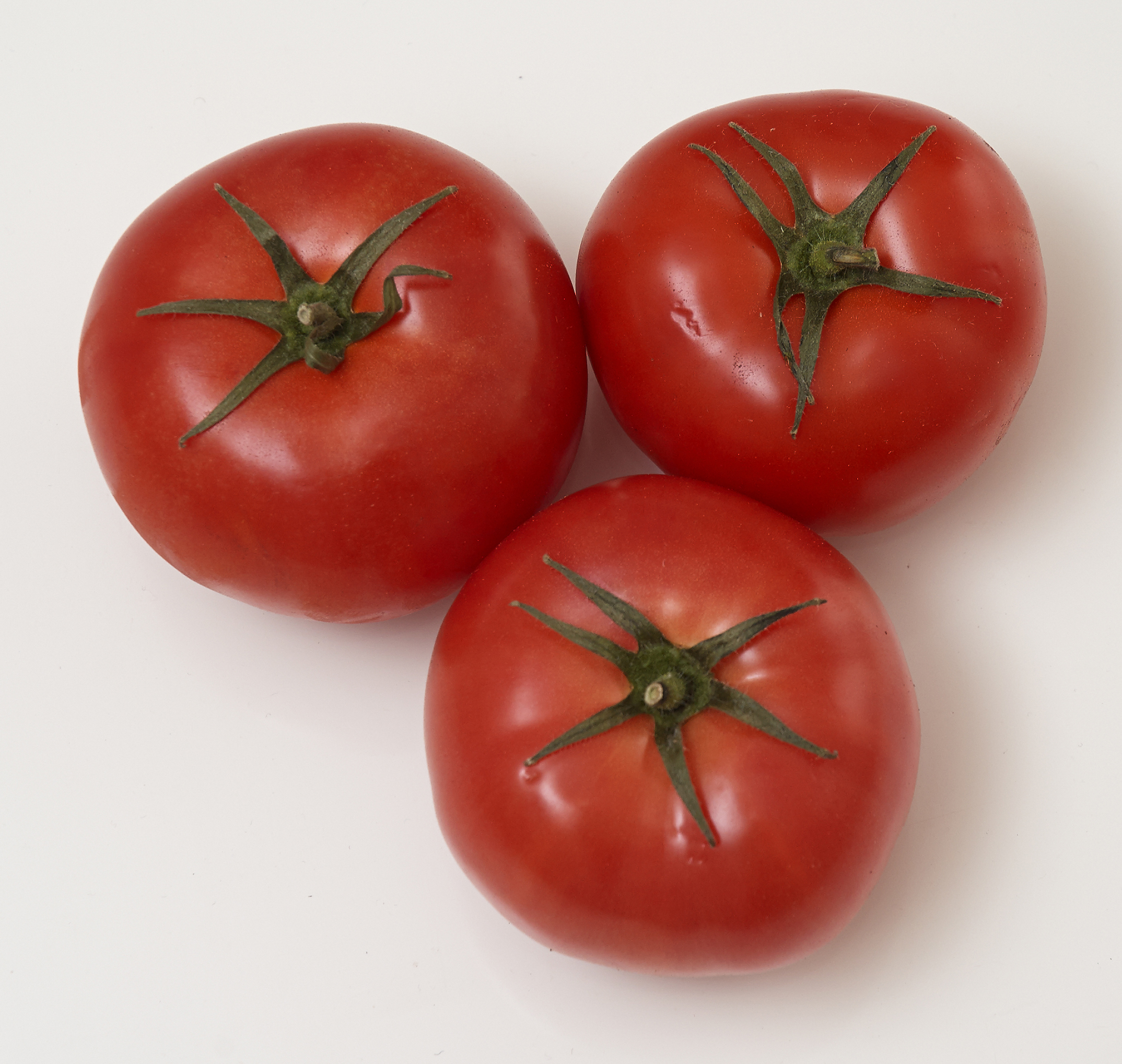 Томат Примо ред. Томат красная гвардия. Томат красный бархат. Red Tomato ge. Tomato red