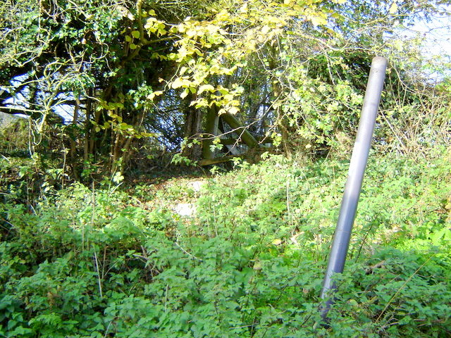 File:Remains of a footpath - geograph.org.uk - 281074.jpg