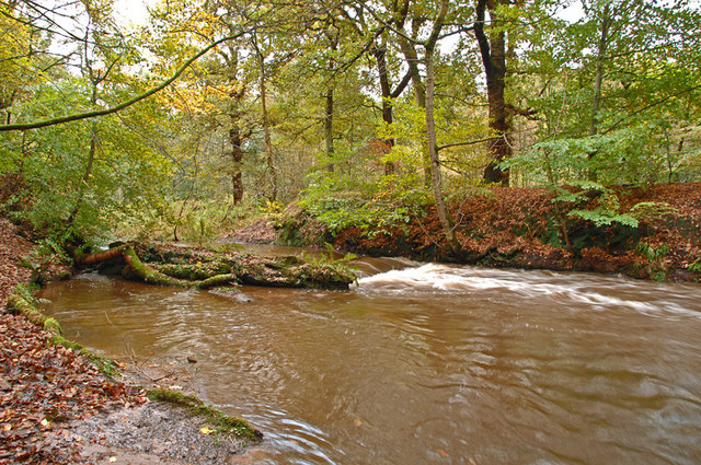 River Yarrow - geograph.org.uk - 1031065