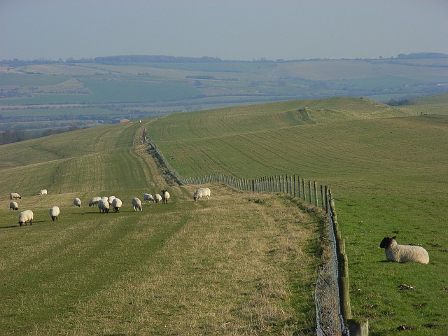 File:Smeathe's Ridge - geograph.org.uk - 701479.jpg