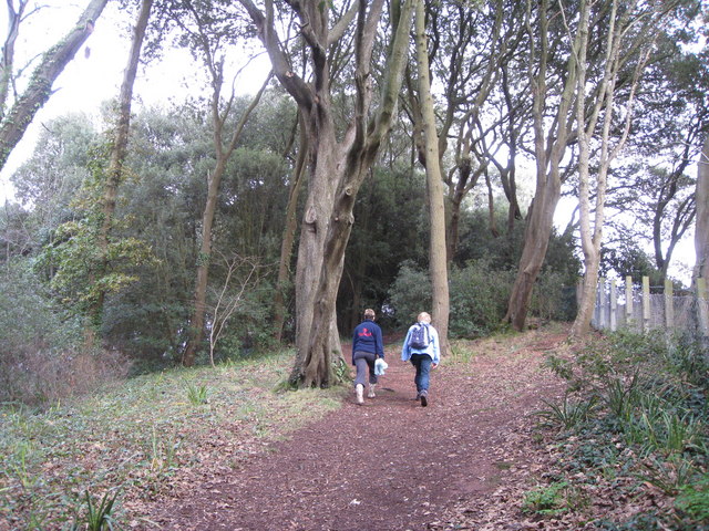 File:The Ness Shaldon - wooded peak - geograph.org.uk - 640746.jpg