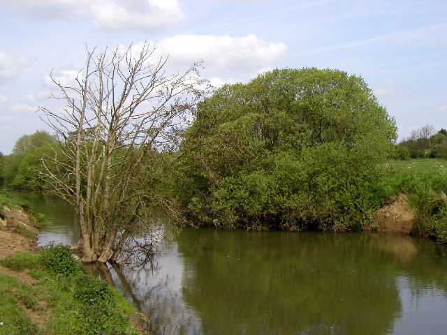 File:The River Derwent Low Catton.jpg