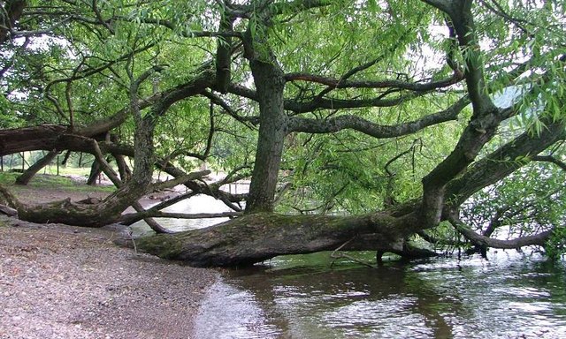 File:The Shore, Castlehows Point - geograph.org.uk - 199685.jpg